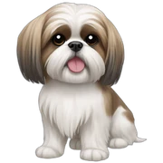Shih tzu sticker