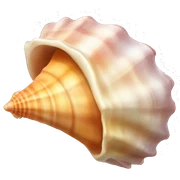 Conch seashell sticker