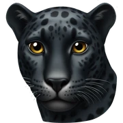 Black Jaguar sticker