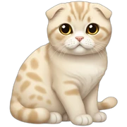 scottish fold sticker