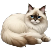 himalayan ragdoll cat asleep sticker