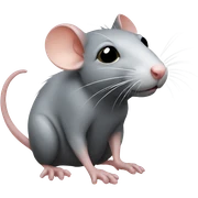 Rat  sticker