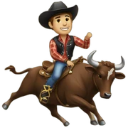 Bull rider sticker