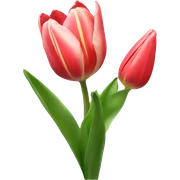 tulip sticker