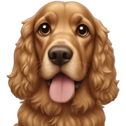 Cocker sticker