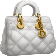 dior bag sticker