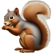 squirrel sticker