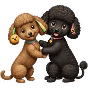 Big black poodle playing with a little brown poodle  sticker