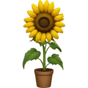 Sunflower sticker