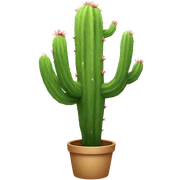 Cactus sticker