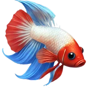 Betta fish food sticker