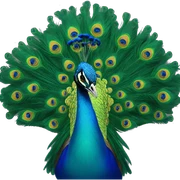 Peacock  sticker