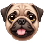 Pig pug sticker