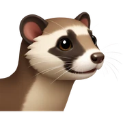 Brown ferret sticker