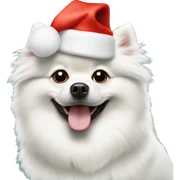 White dog Pomeranian spitzh wearing Christmas hat sticker
