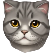 scottish fold cat sticker
