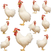 Chicken sticker