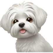 Maltese dog kiss sticker