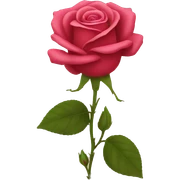 Rose sticker