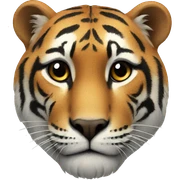 Animal  sticker
