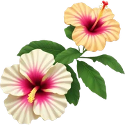 Hibiscus sticker