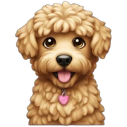 caniche toy sticker
