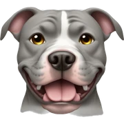 pitbull gris durmiendo  sticker