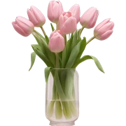 Pastel Pink tulips in glass vase  sticker