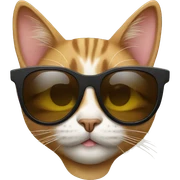 Cat with sunglasses sticker