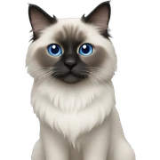 Blue point ragdoll sticker