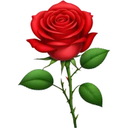 Flower rose sticker