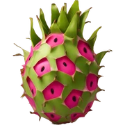 dragon fruit  sticker
