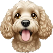 Cockerpoo  sticker