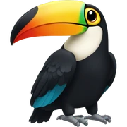 Toucan sticker