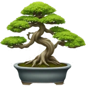 Bonsai  sticker