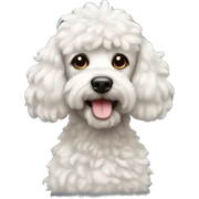 Caniche sticker