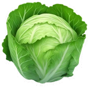 cabbage sticker