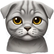 Gray Scottish fold sticker
