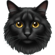 Black domestic longhair cat sticker