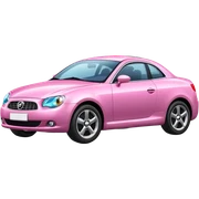 Pink car sticker
