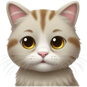 Cat ྀིྀི  sticker