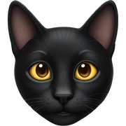 black cat sticker
