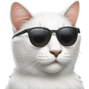 Cat with sunglasses sticker