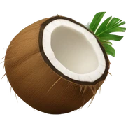 Coconut  sticker