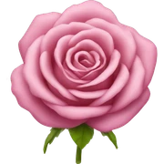 Rosa schleife sticker