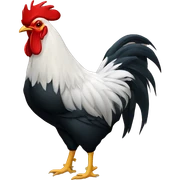 Rooster hoodie sticker