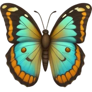 Butterfly  sticker