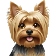 yorkshire terrier  sticker