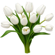 White tulips sticker