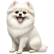 white pomeranian sticker